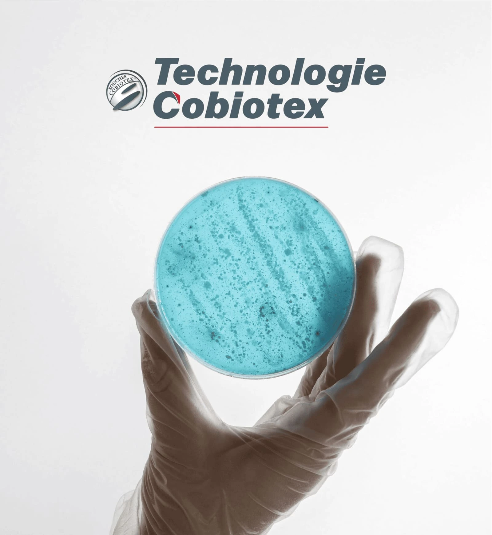Les technologies Cobiotex