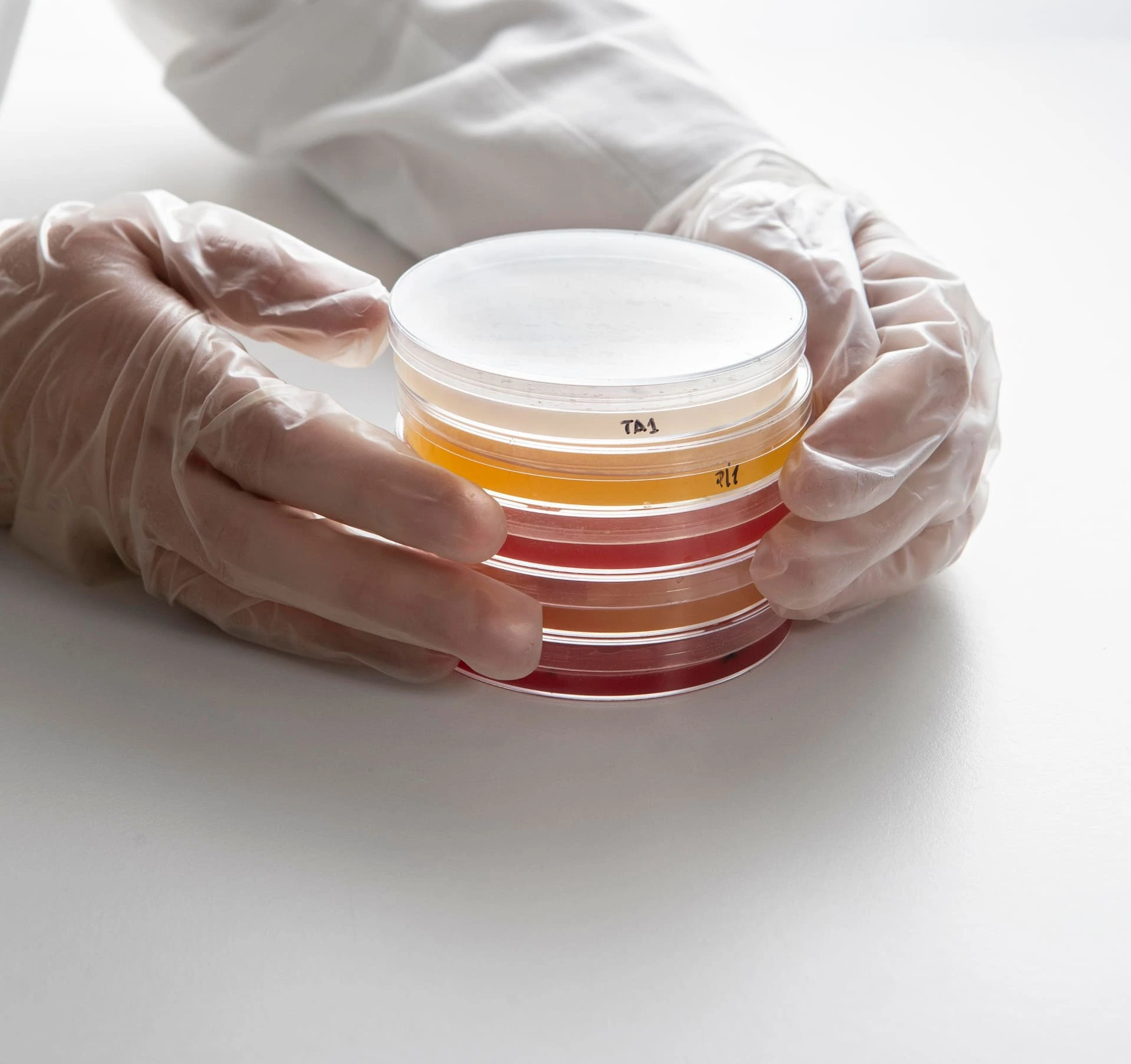 LA R&D au cœur de notre ADN